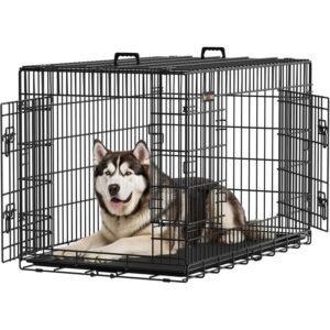 Ofertas Flash de Amazon para Perros (actualizado hoy)