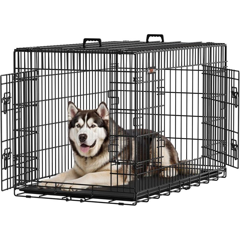 Ofertas Flash de Amazon para Perros (actualizado hoy)