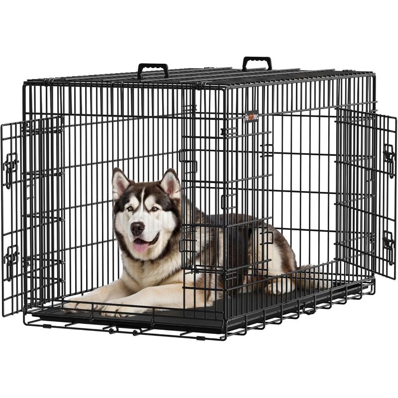 Ofertas Flash de Amazon para Perros (actualizado hoy)