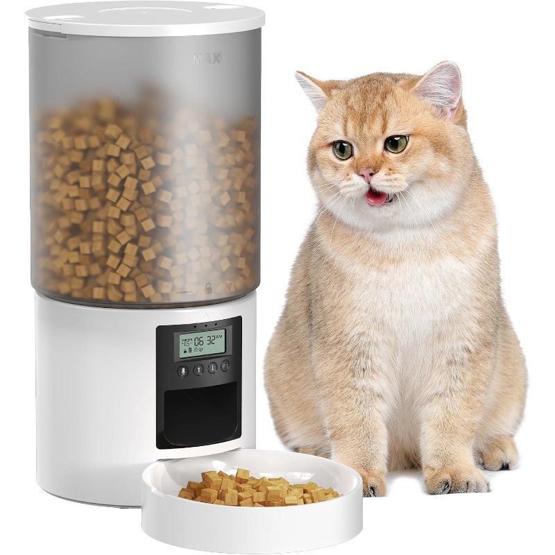 Ofertas Flash de Amazon para Gatos (actualizado hoy)