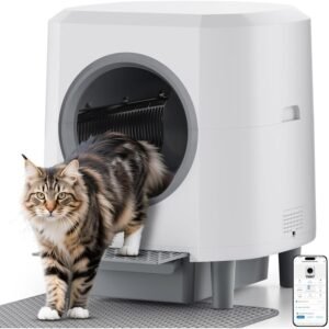 Ofertas Flash de Amazon para Gatos (actualizado hoy)