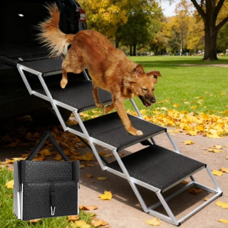 Mejores rampas de coche para perros: guia de compra 2026