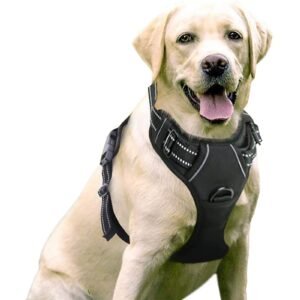 Mejores arneses antitirones para perros