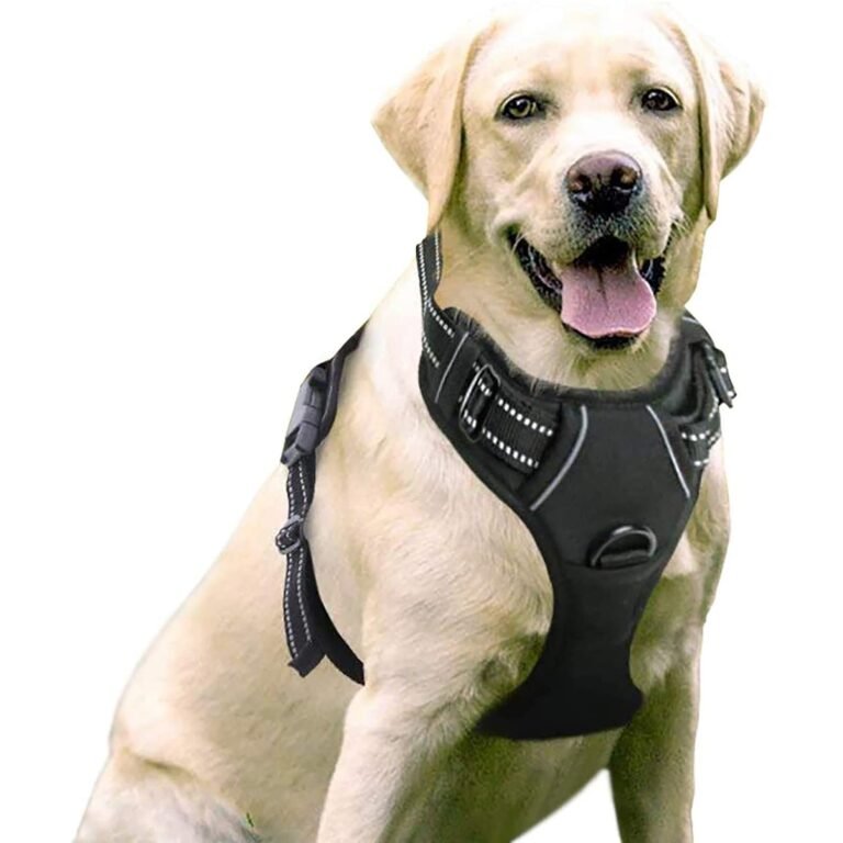 Mejores arneses antitirones para perros