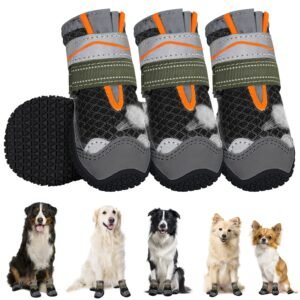 Mejores botas protectoras de patas para perros