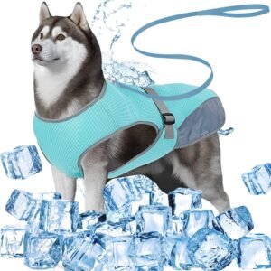 Mejores chalecos refrigerantes para perros: guía de compra 2026