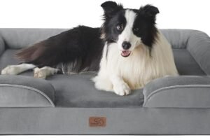 Mejores camas ortopedicas para perros mayores con artrosis (2026)