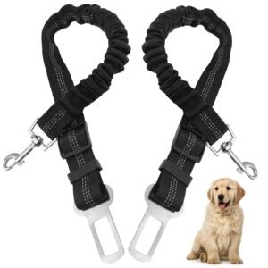 Mejores cinturones de seguridad para perros en el coche