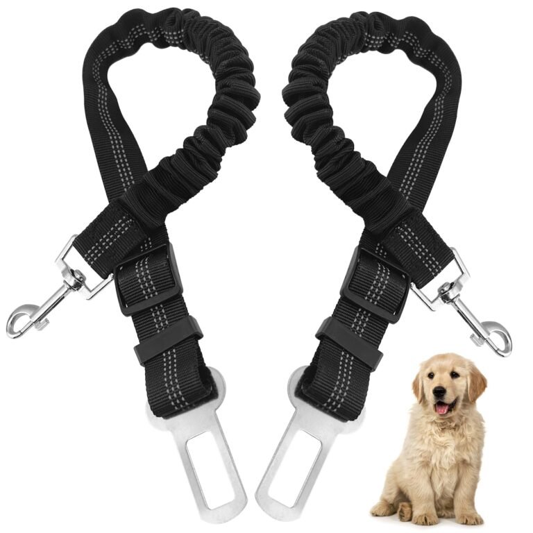 Mejores cinturones de seguridad para perros en el coche