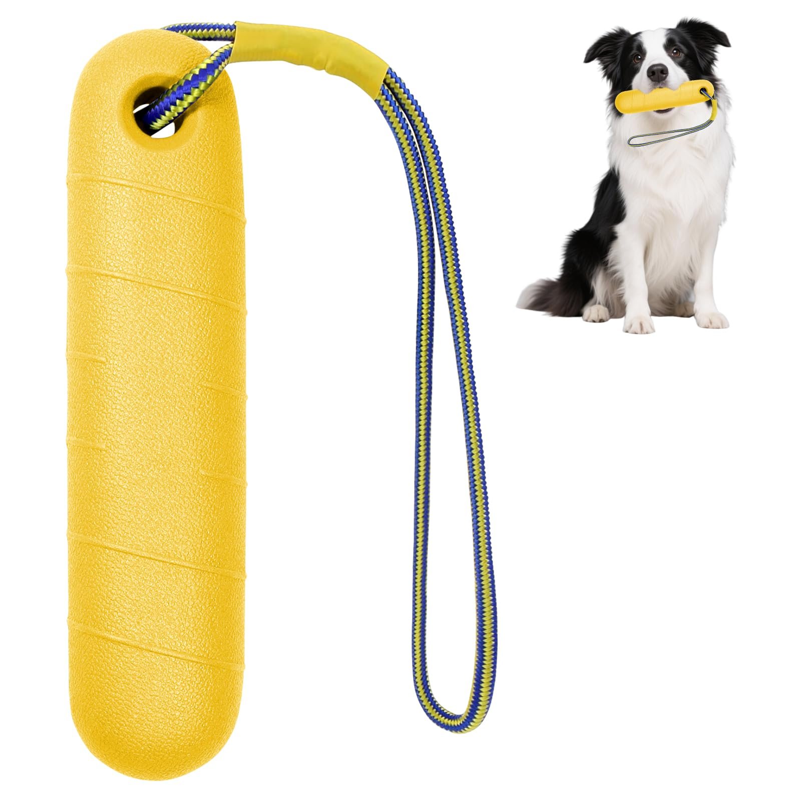 Juguete de Agua con Cuerda de Nailon