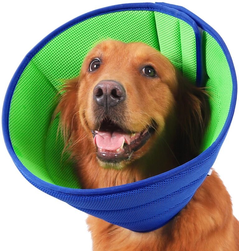 Mejores collares isabelinos de recuperación para mascotas