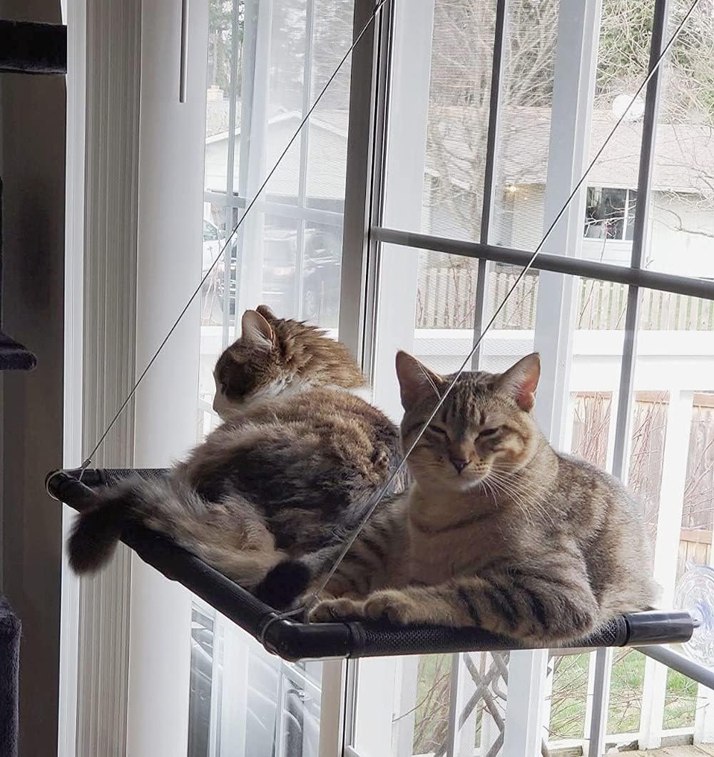 4. Hamaca reforzada Dracarys para gatos grandes