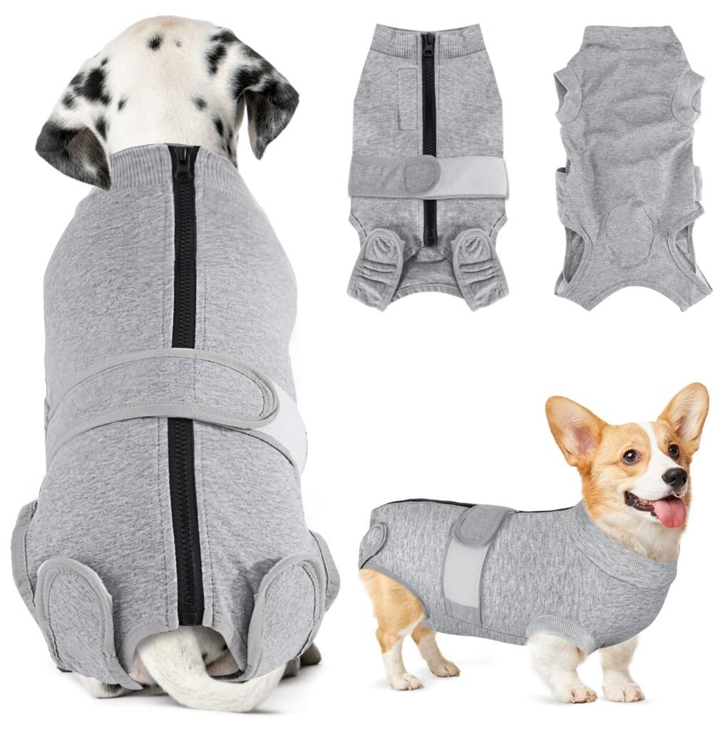 Mejores pijamas y monos postoperatorios para perros y gatos: alternativa al collar isabelino (2026)
