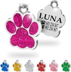 Mejores chapas y placas identificativas grabadas para perros y gatos (2026)