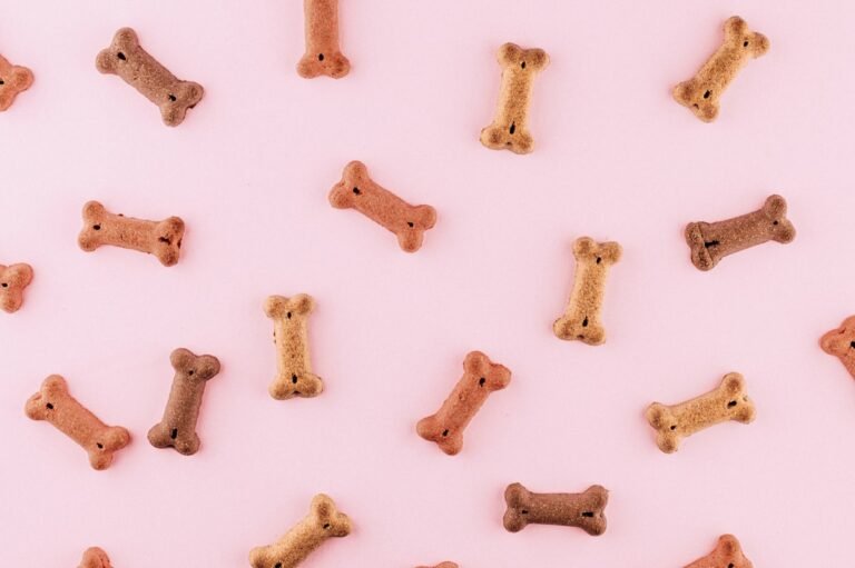 Premios y snacks para perros