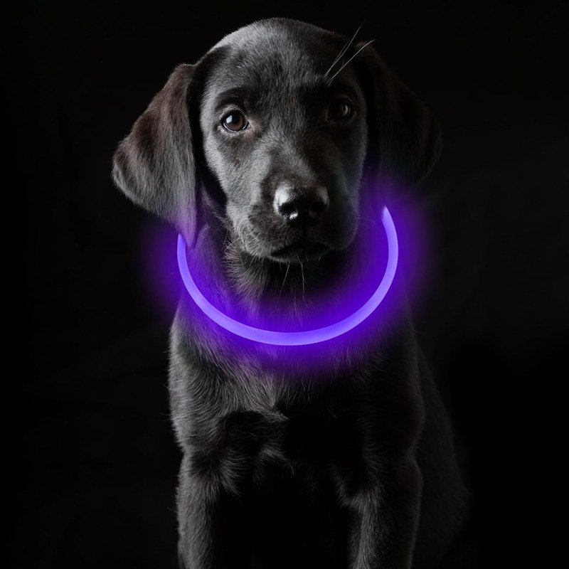 Coolzon Collar Luminoso Recargable