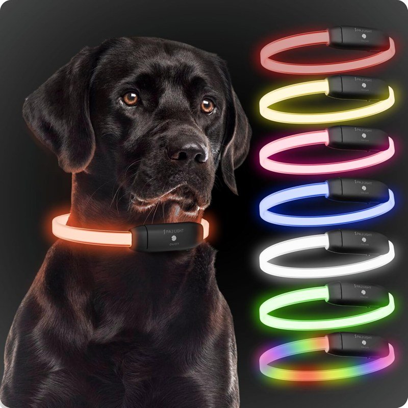 PAJ Light Collar Luminoso de Alta Intensidad