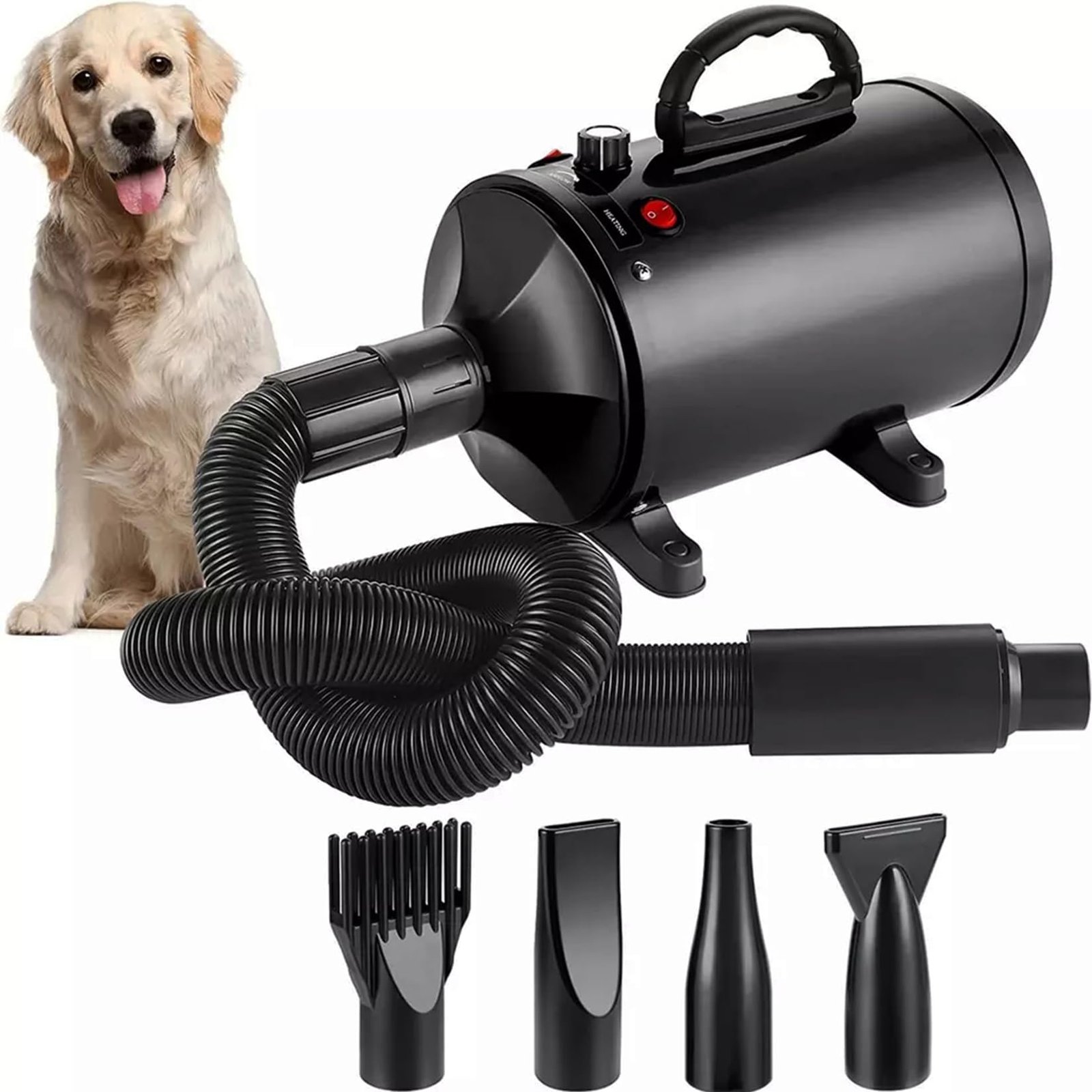 Secador Profesional 2800W