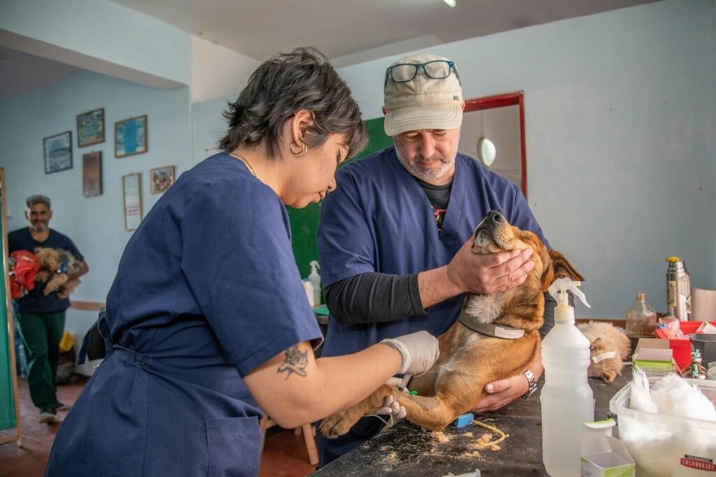 Veterinarios Mejor Valorados de Cadiz (2026): Guia Completa