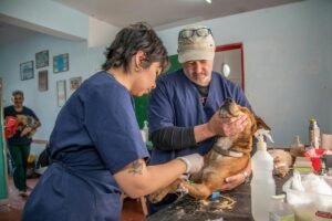Veterinarios Mejor Valorados de Cadiz (2026): Guia Completa