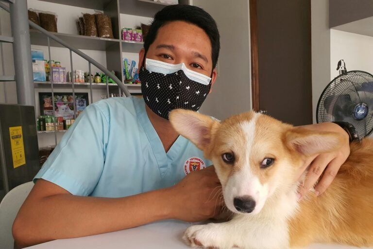 Veterinarios Mejor Valorados de Sevilla (2026): Guia Completa