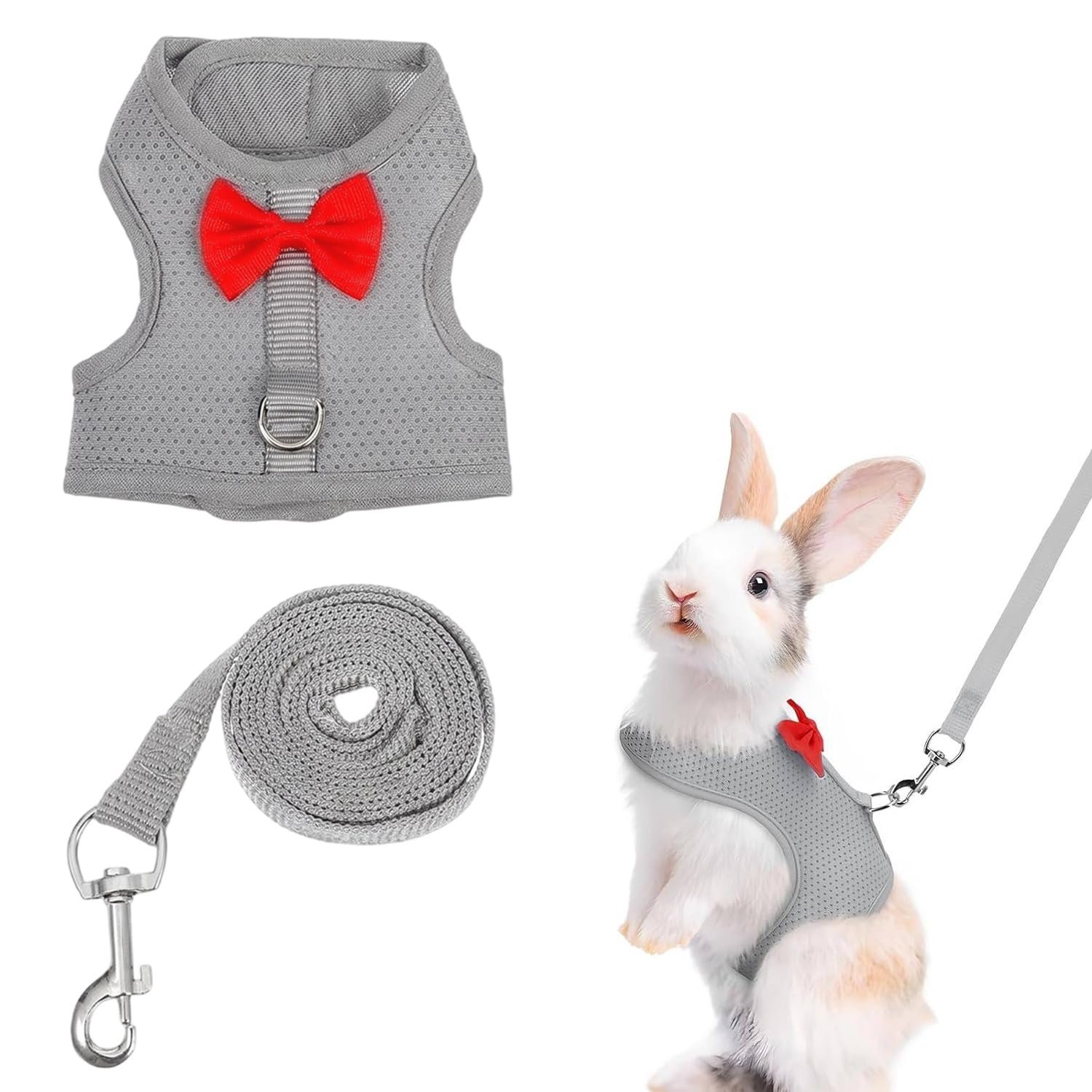 Arnes Antiescape con Kit de Paseo Talla S