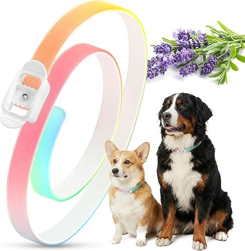 Collar Antipulgas y Garrapatas para Perros, económico