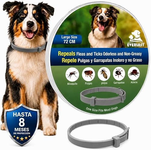 Collar Antiparasitario para Perros (protección básica)