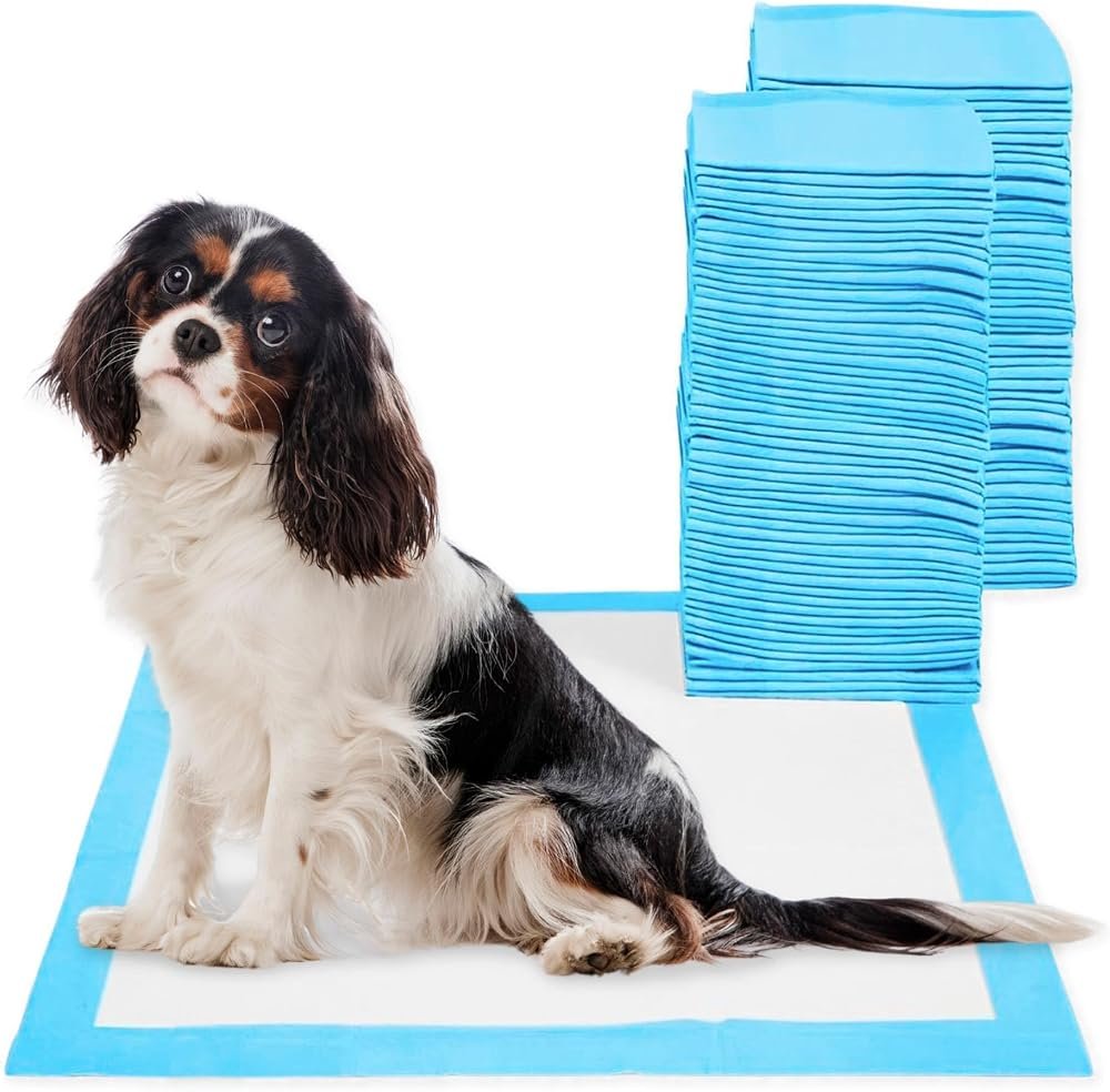 Empapador higiénico para perros CIVINZON