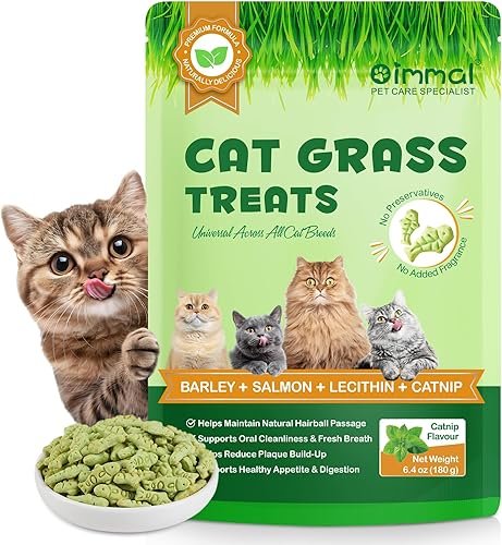 Golosinas de Hierba con Catnip para Gatos