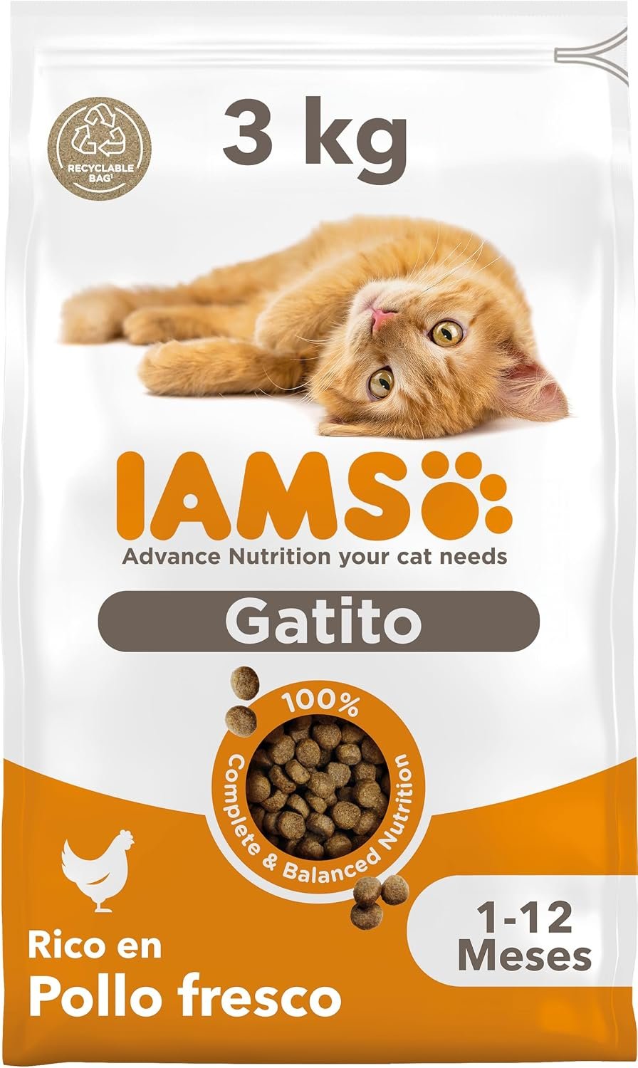 IAMS alimento seco para gatitos de 1 a 12 meses con pollo 3kg