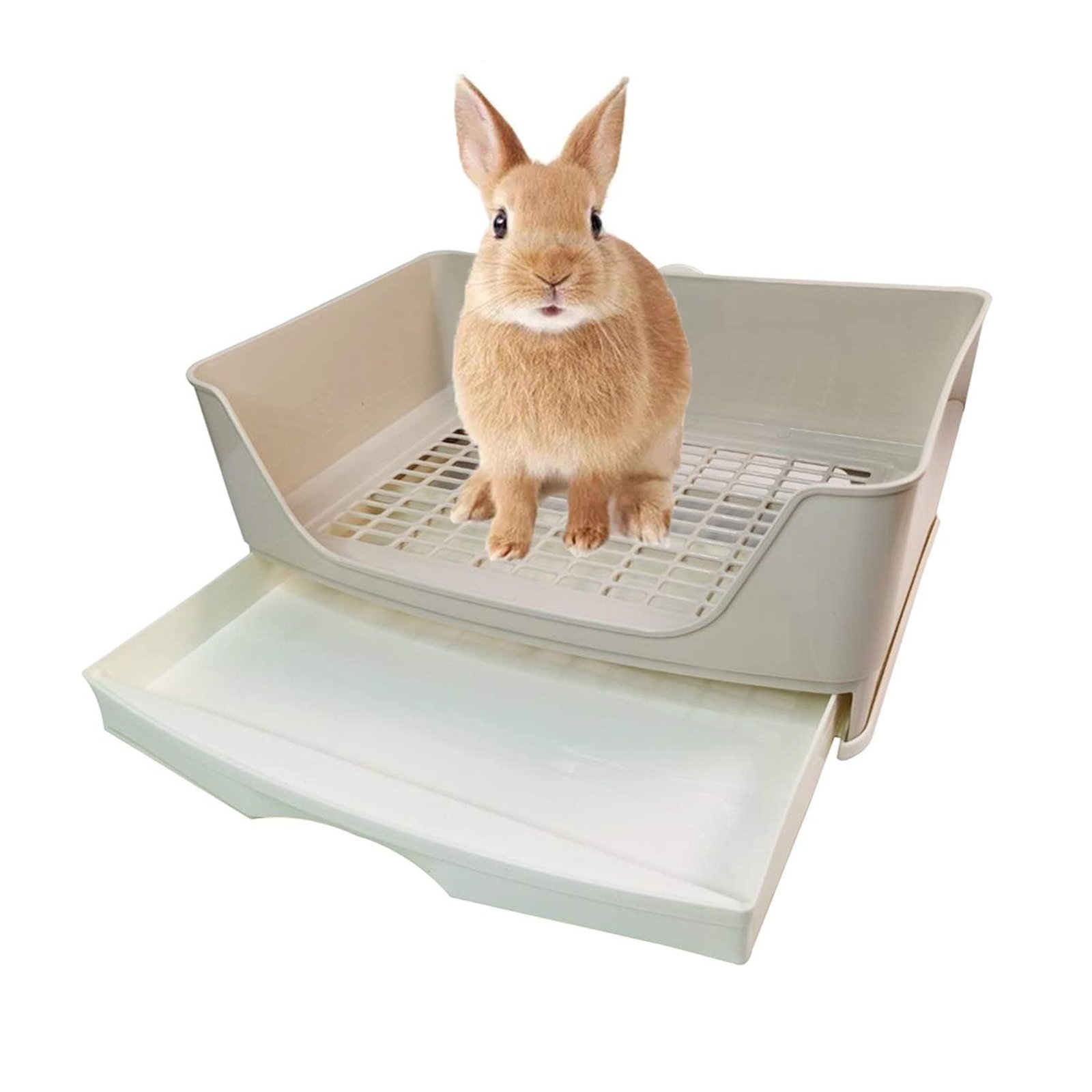 Caja de arena grande kathson para conejos