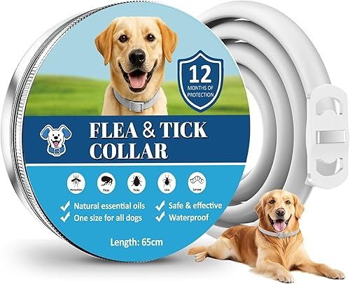 Mejores collares antipulgas y garrapatas para perros y gatos