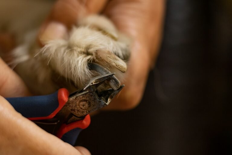 Mejores cortaúñas y limas eléctricas para perros y gatos: guía de compra 2026