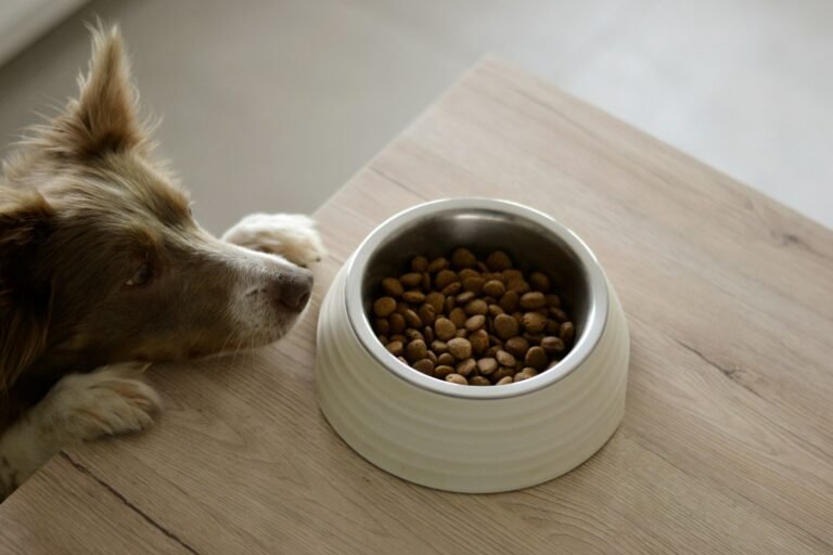 Mejores piensos light y de control de peso para perros con sobrepeso: guía de compra 2026