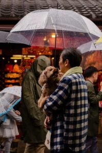 Persona paseando a su perro con paraguas bajo la lluvia