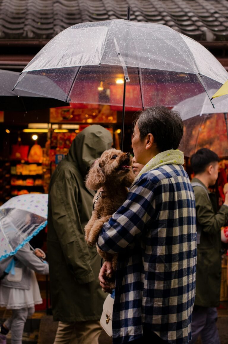 Persona paseando a su perro con paraguas bajo la lluvia