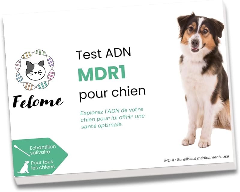 Kit de test de ADN MDR1 de sensibilidad a medicamentos para perros