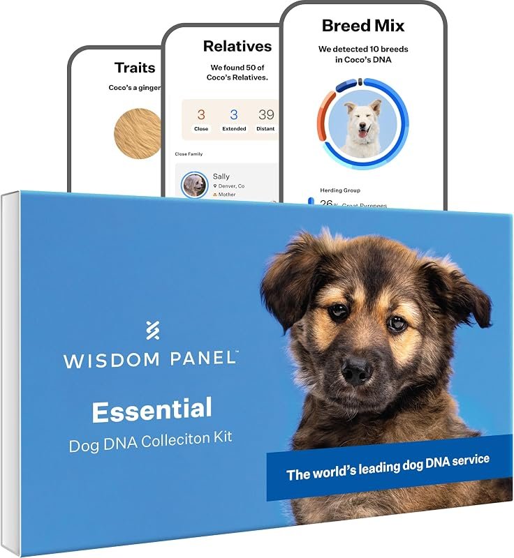Caja del kit Wisdom Panel Esencial de test de ADN para perros
