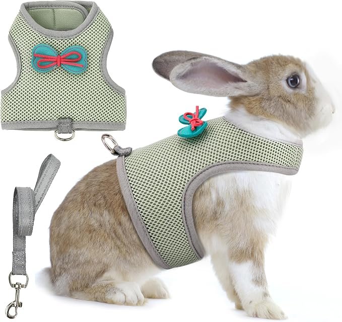 AIITLE Juego de Arnes y Correa de Conejo a Prueba de Escape