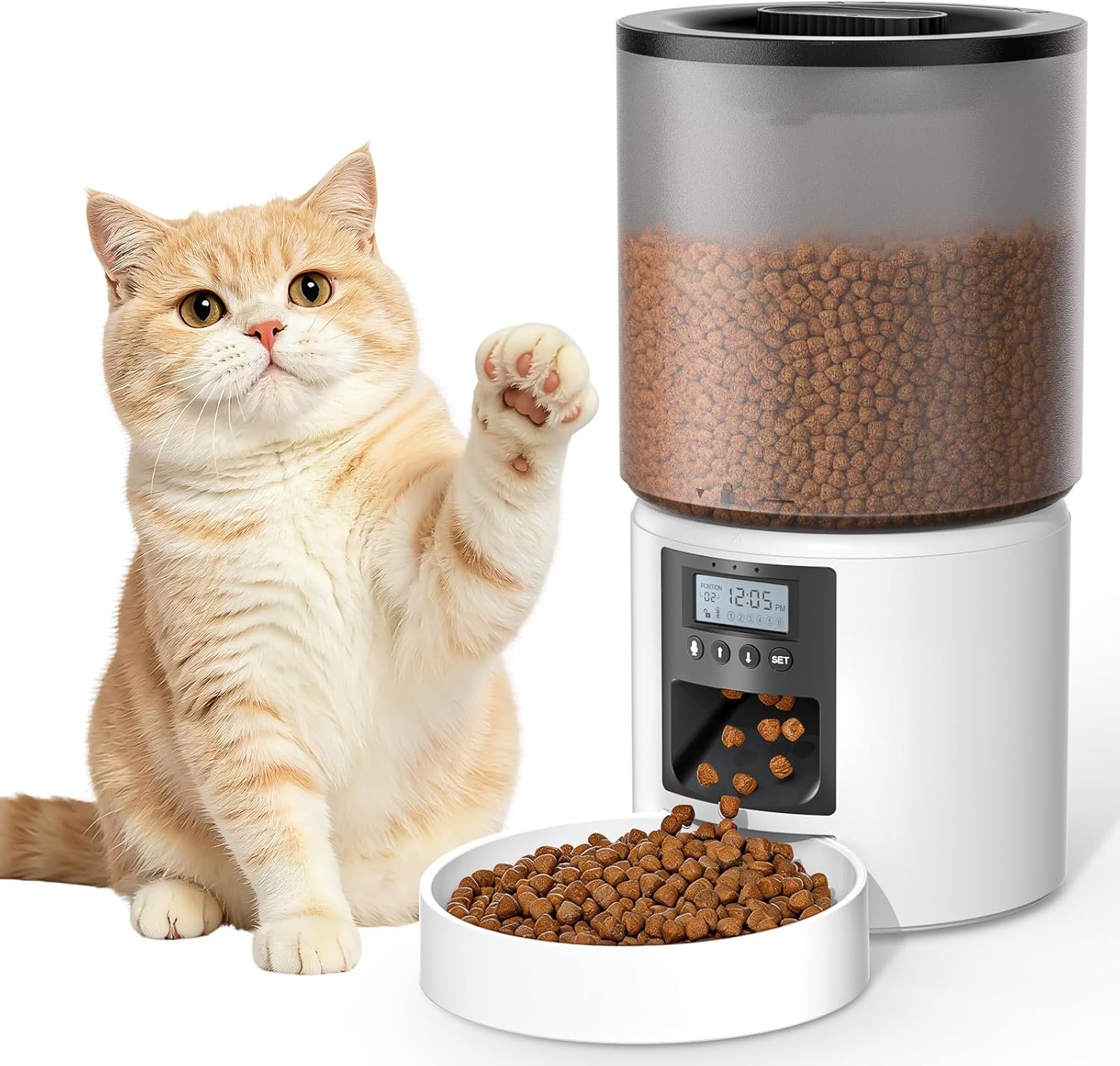 Comedero automático básico para gatos sin wifi