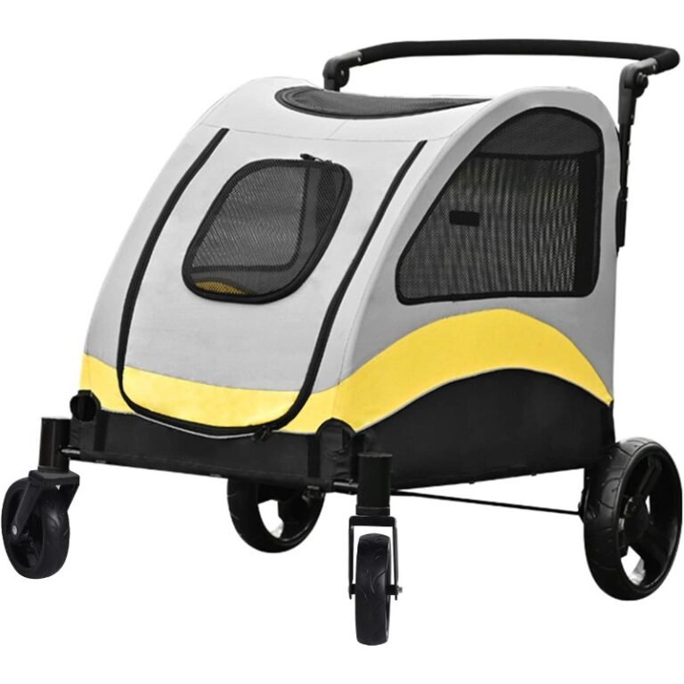 Ofertas Flash de Amazon para Perros (actualizado hoy)
