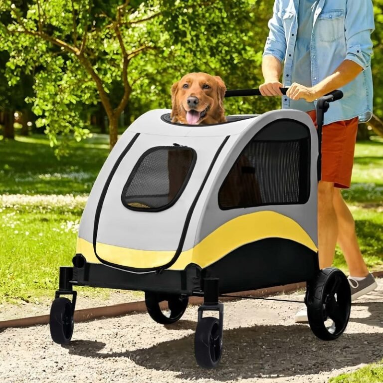Ofertas Flash de Amazon para Perros (actualizado hoy)