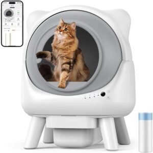 Ofertas Flash de Amazon para Gatos (actualizado hoy)