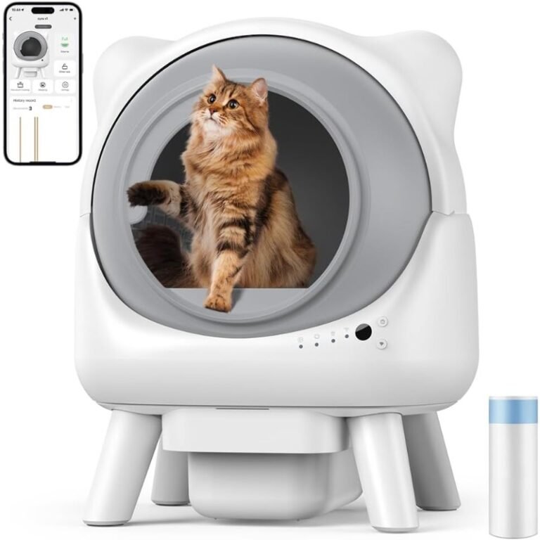 Ofertas Flash de Amazon para Gatos (actualizado hoy)