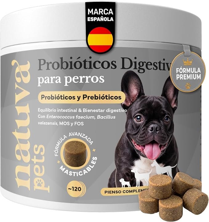 Probiotico Flora Intestinal